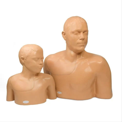 Pediatric Head Model Application: Industrial