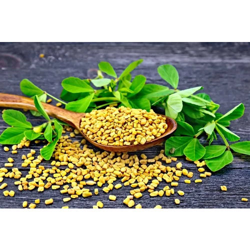 Fenugreek Extract Powder