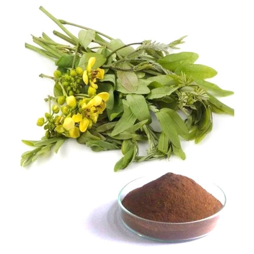 Senna Leaf Extract Powder