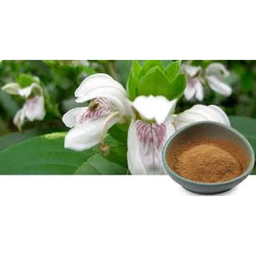 Adhatoda Vasica Extract Powder