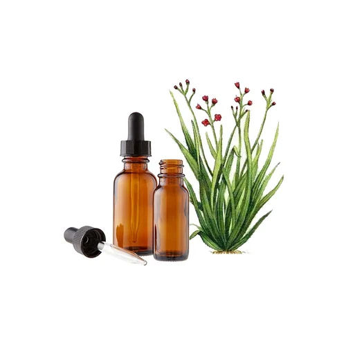 Palmarosa Essential Oil Raw Material: Leaves