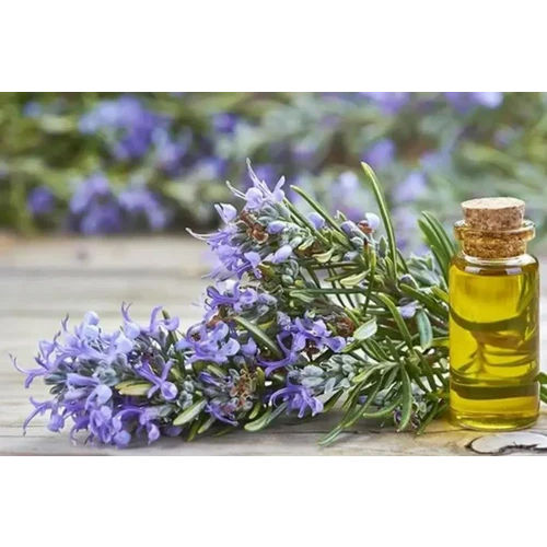 Rosemary Essential Oil