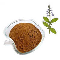 Coleus Forskohlii Extract Purity: 99%