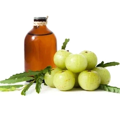 Amla Seed Carrier Oil Purity: 100%