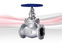 Flanged Globe Valve - Color: Gray