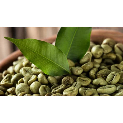 Green Coffee Extract