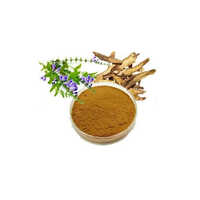Herbal Product Scutellaria Baicalensis Extract