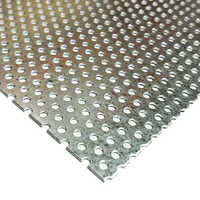 Titanium Mesh - Color: Silver
