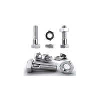 Titanium Fasteners - Color: Silver