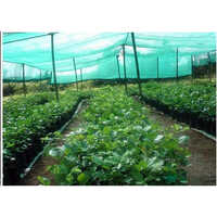 Agricultural Greenhouse Good Quality