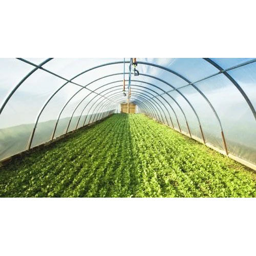 Farming Greenhouse Film Length: 20 To 100 Meter Meter (M)