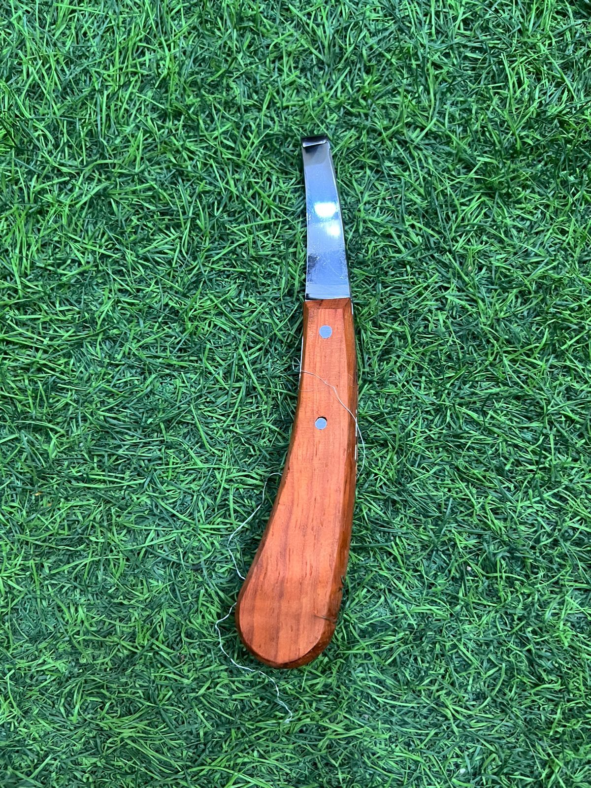 Hoof Cutter ( knife type ) LEFT and RIGHT ss