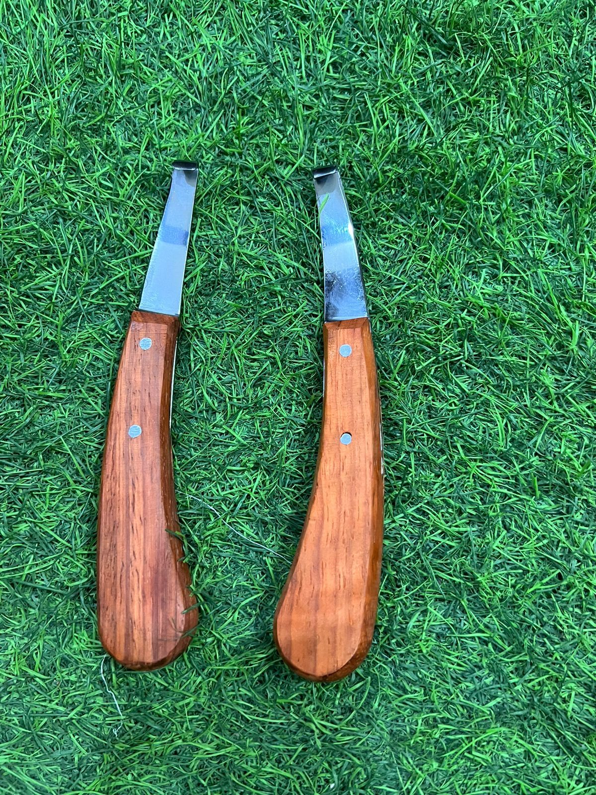 Hoof Cutter ( knife type ) LEFT and RIGHT ss