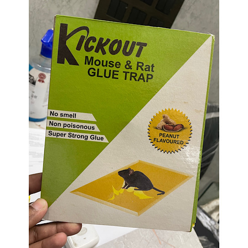 Mouse glue board