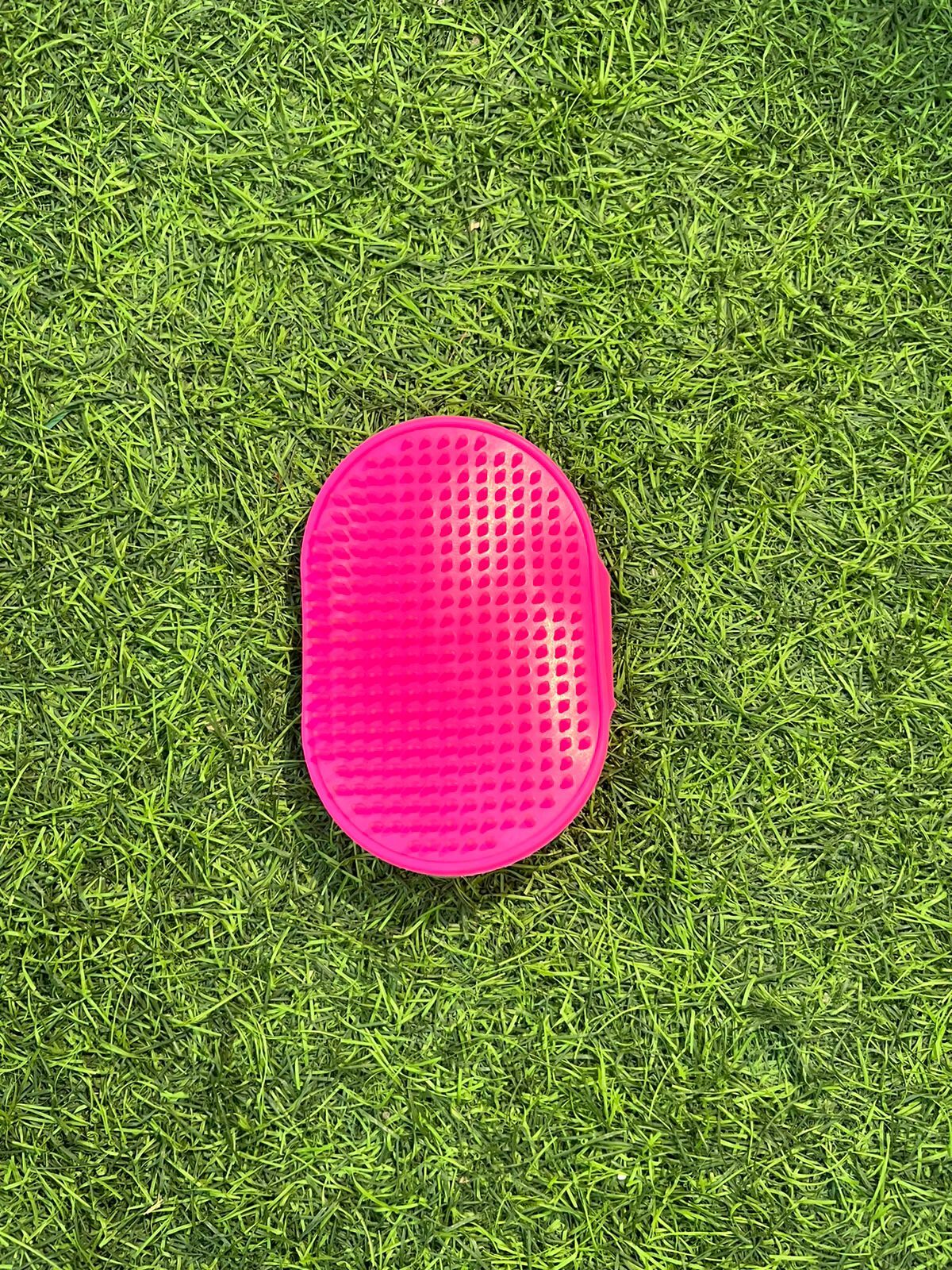 Pet Grooming Brush