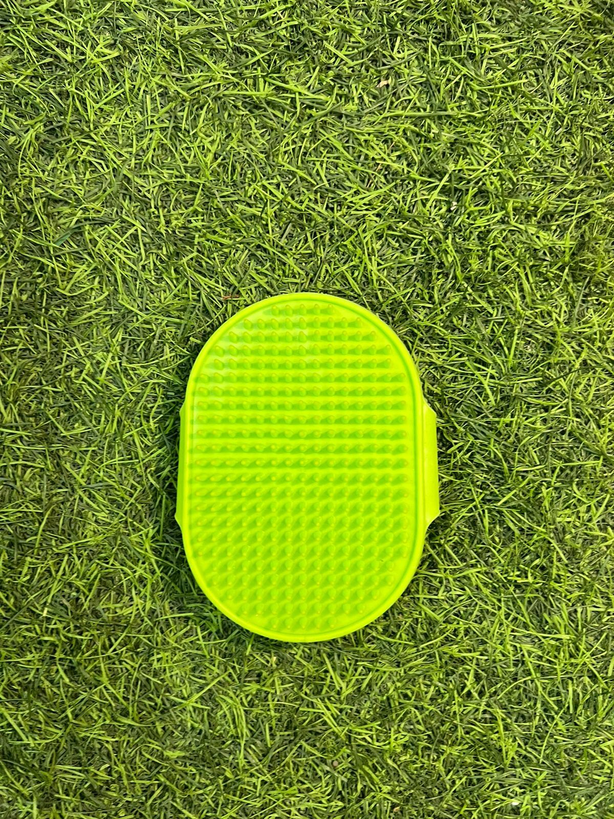 Pet Grooming Brush