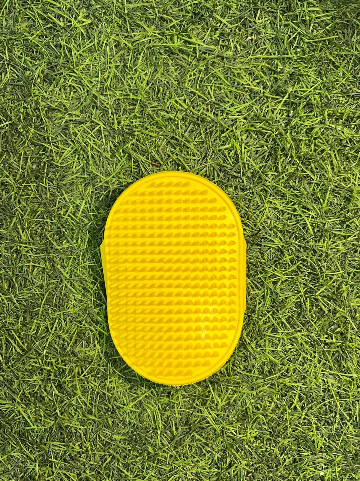 Pet Grooming Brush