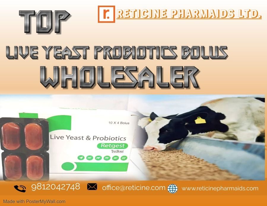 FEED SUPPLEMENT MANUFACTURER IN MAHARASHTRA