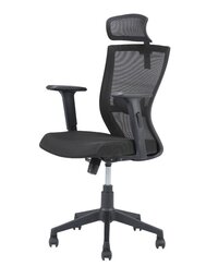 Nilkamal Hexon HB Chair