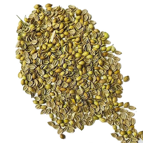 Dried Coriander Grade: First Class