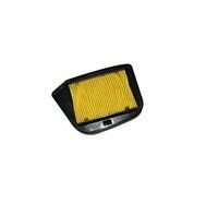 Enteron Air Filter