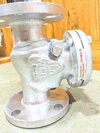 Swing Check Valve