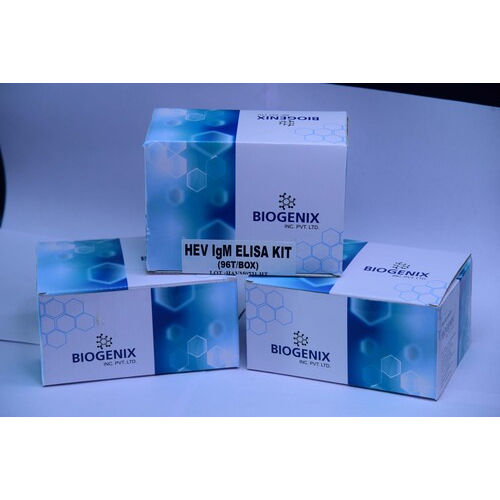 Manual Hepatitis E Virus Igm Hev Igm Elisa Kit