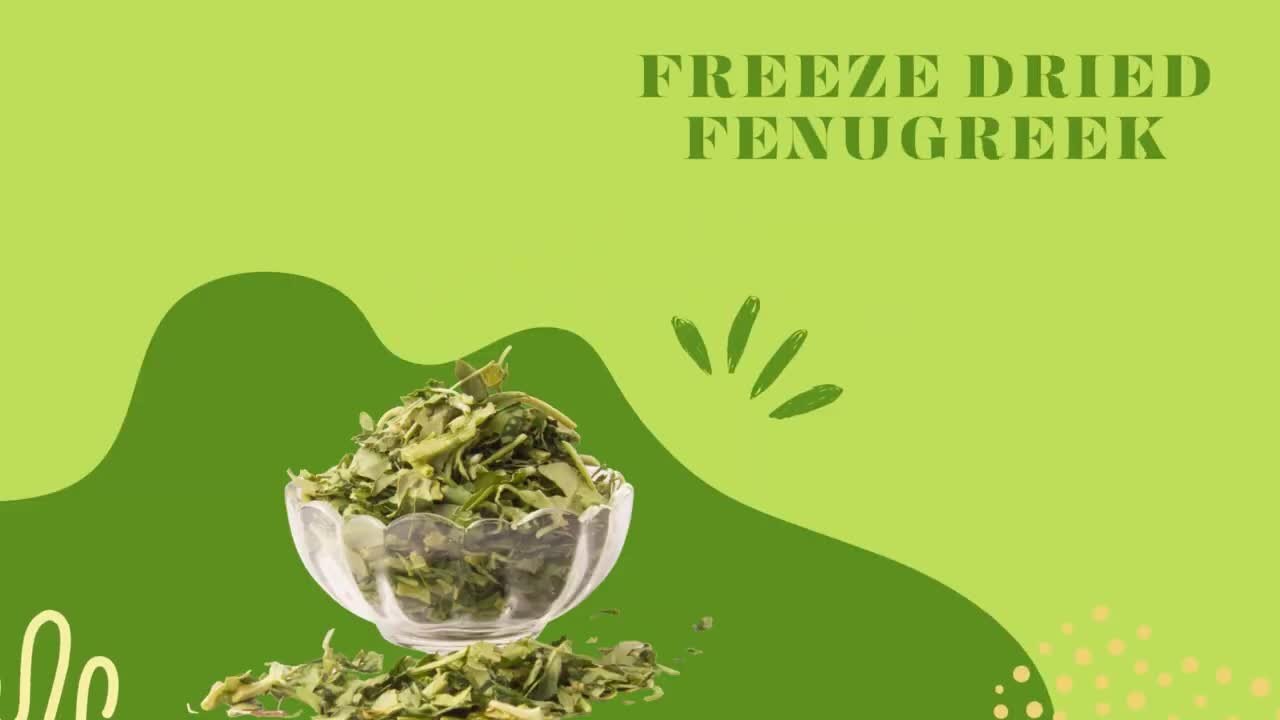 Freeze Dried Fenugreek Leaves