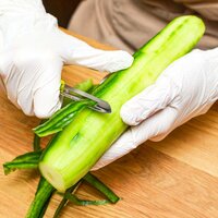 MULTI-PURPOSE STAINLESS STEEL PEELER WITH HANDLE FOR VEGETABLES