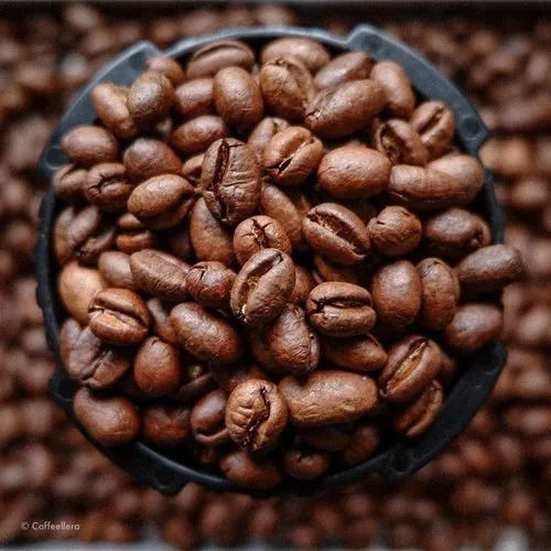 Robusta Coffee Beans