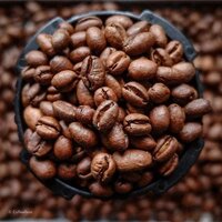 Robusta Coffee Beans