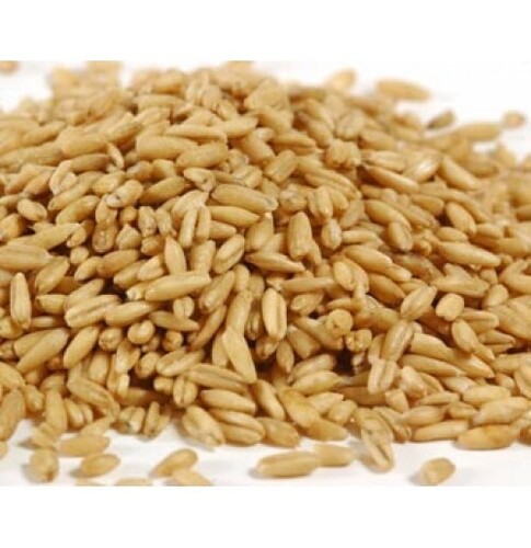 Whole Grain Wheat