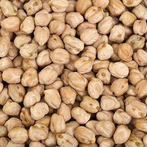 Indian Chickpeas