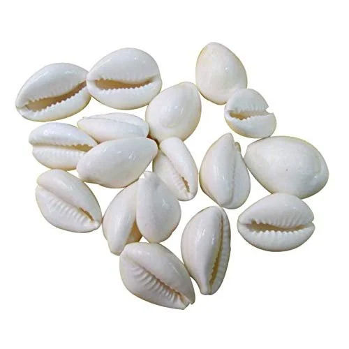 Durable Vastu White Stone Kavdi