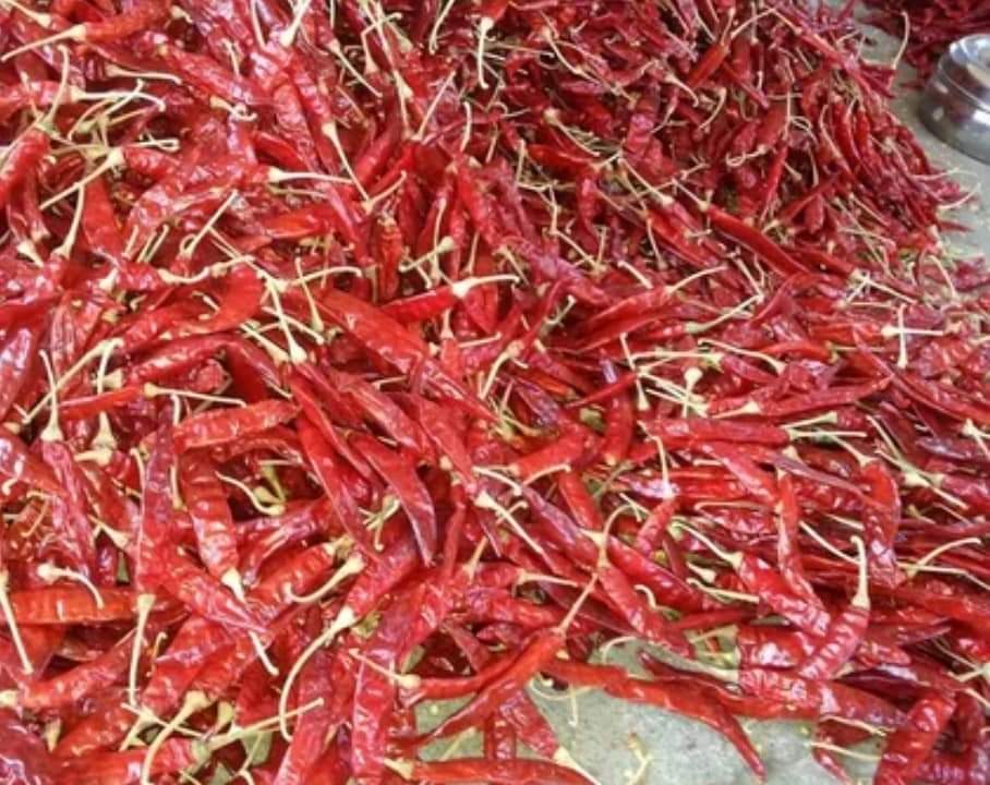 Dried Red Chilli - Grade: First Class