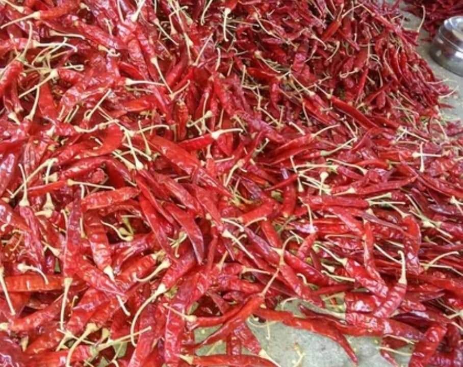 Dried Red Chilli - Raw First Class Pieces, Spicy Flavor, Bright Red Color, 1 Year Shelf Life, Ideal for Room Temperature Storage