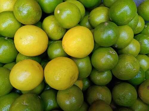 Common Fresh Yellow Lemon