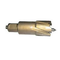 Tct Annular Cutter - Metal, Standard Inch Dimensional Design | New Condition, Golden Finish, Premium Quality From Techcraft Engineering Solutions