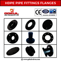 HDPE Flanges