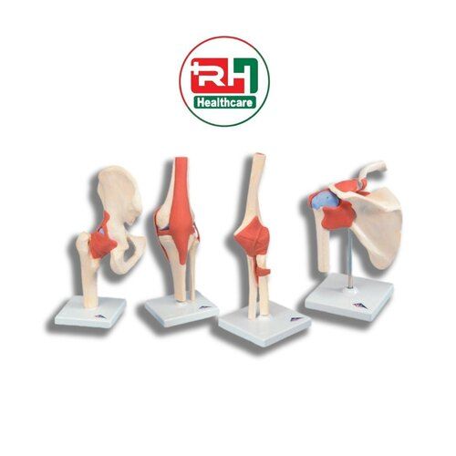 WRIST ELBOW SHOULDER ANKLE KNEE HIP SET OF 6 JOINTS IMPORTED