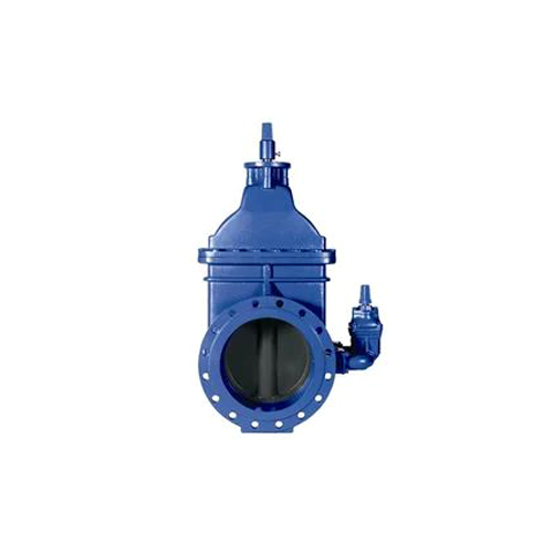 Blue Large Diameter Gate Valve