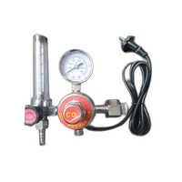 Co2 Regulator With Heater And Flow Meter