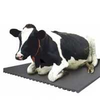 Black And Grey Cow Mat - Place Of Origin: India