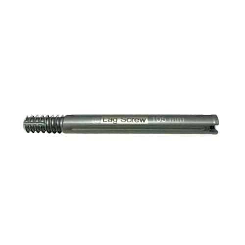 Silver Lag Screw