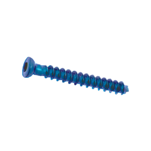 Cancellous Screw