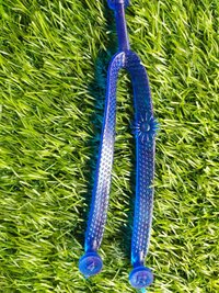 ladies footwear strap