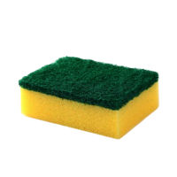 2 IN 1 SCRUB SPONGE PAD - 03