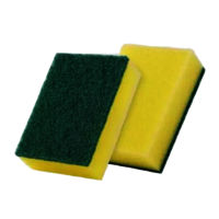 2 IN 1 SCRUB SPONGE PAD - 03