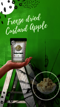 Freeze Dried Apple Cubes