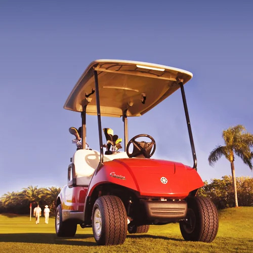 Portable Golf Club Cart